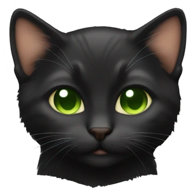 Black coat and brown green eyes kitten  sleeping  sticker