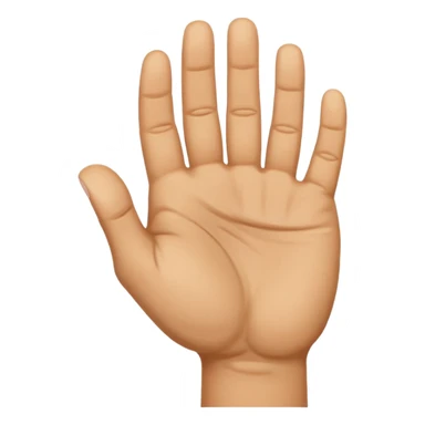 Chinese fist and palm hand gesture sticker