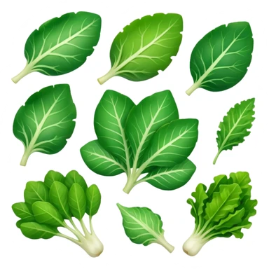 different salad leaves  sticker
