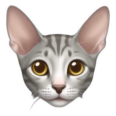 grey tabby oriental shorthair cat with large ears sticker