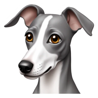 grey and white italian greyhound dog sticker