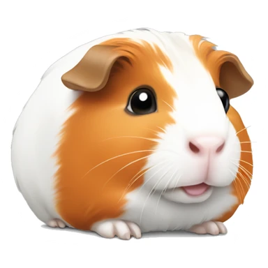 Guinea pig , white and orage color sticker