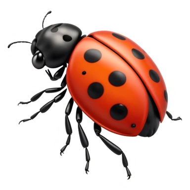 scarlet-colored ladybug with black dots on the back sticker