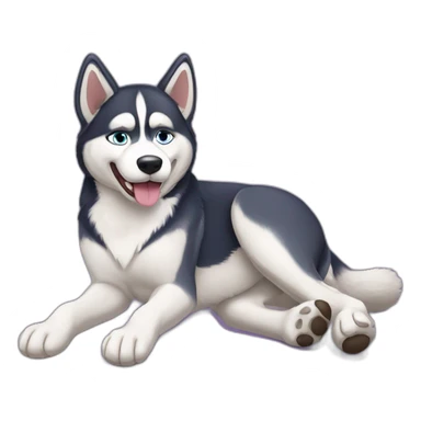 Husky dog lying on his back with legs up sticker
