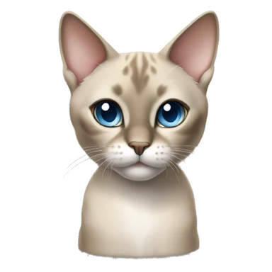 Thai breed cat with a light cream-brown body, dark gray face, ears, and paws. Short fur, sharp ears, and striking light blue eyes with an intense gaze. sticker