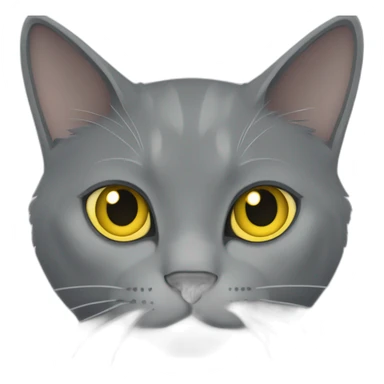 cuddly fluffy grey korat breed cat with yellow eyes black pupils, walking and playing female sticker