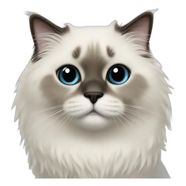 Ragdoll sealpoint sticker