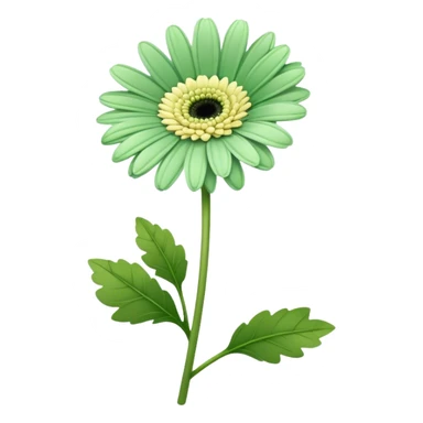 single Soft Green Gerbera Daisy, straight stem sticker