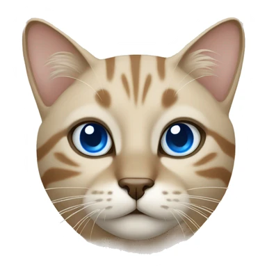 Beige tigered cat with blue eyes sticker