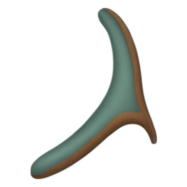 boomerang sticker
