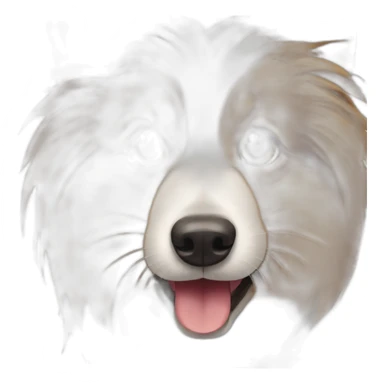 Tricolor Shetland sheepdog wearing chirurgical mask on mouth sticker