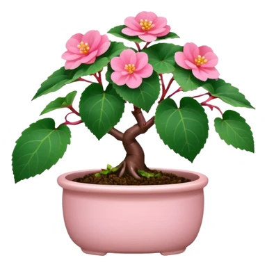 Begonia bonsai sticker