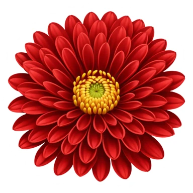 chrysanthemum flower full red sticker