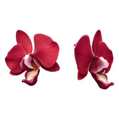 red orchid flower sticker