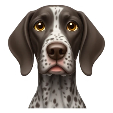 German short haired pointer dogs sticker