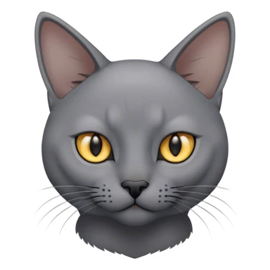 Gray korat cat sticker