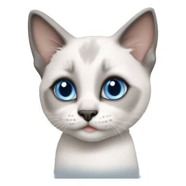 Cute big blue eyed Siamese white and grey kitten sticker