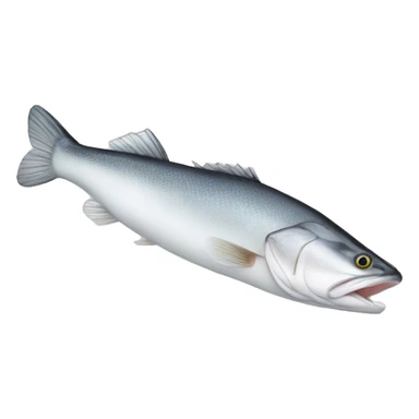 Pacific cod "fillet" with silver skin stak sticker