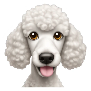 White poodle with pinkish brown nose sticker