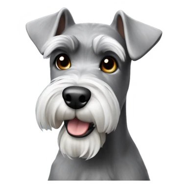 Grey miniature schnauzer dog sticker