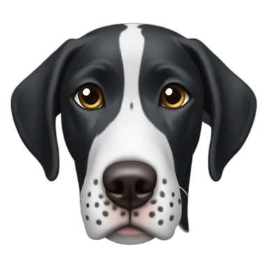 black & white german shorthair pointer, black head with white hair on the snout sticker