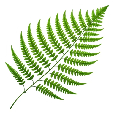 Fern leave sticker