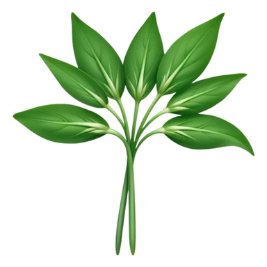 single sprig or small cluster of wild garlic leaves with smooth elongated lance-shaped blades, rich vibrant green color, soft central veins, fresh slightly glossy surface, gently arching from slender stems, no roots or soil, apple emoji style, soft lighting, subtle shadows, emoji scale sticker