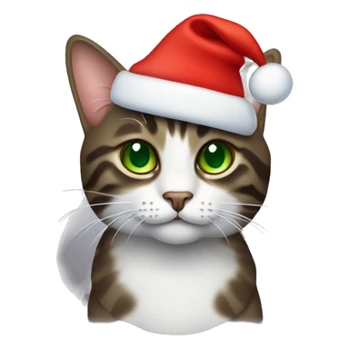 Dark brown tabby cat with green eyes wearing red Christmas hat sticker