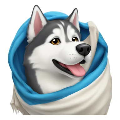 Perro Siberian husky envuelto en una manta  sticker