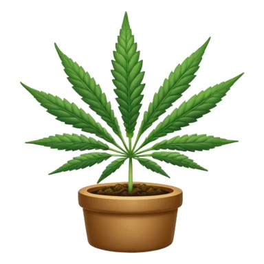 Cannabis sticker
