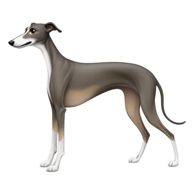 Greyhound sticker