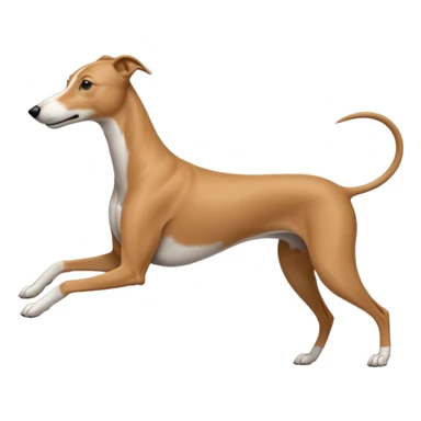 Greyhound working sticker