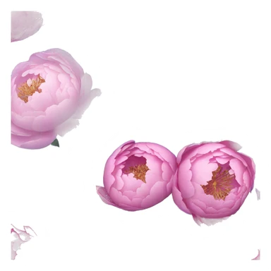 Pink and blue and purple peonies bouquet  sticker