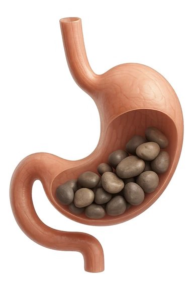 Sassi nello stomaco durante la digestione in 3d realistica sticker