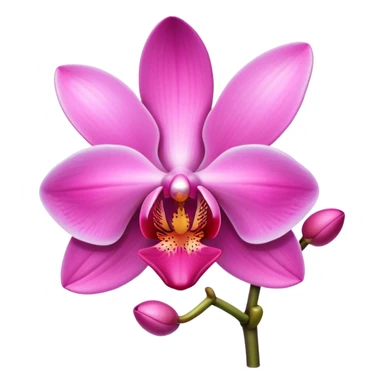 pink orchid sticker