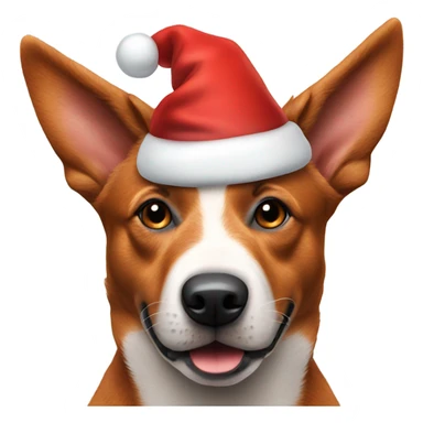 Red Australian cattle dog wearing a Santa hat  sticker