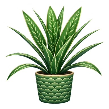 SANSEVIERIA sticker
