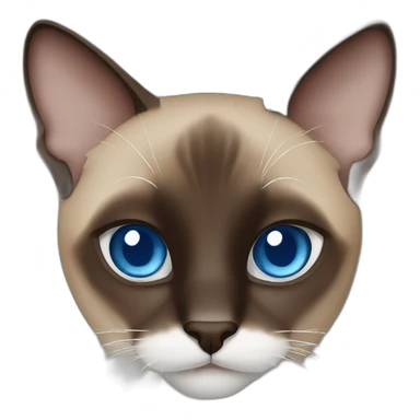 Medium brown and black siamese Cat with blue eyes and white chin sticker