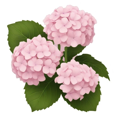 light pink hydrangea  sticker