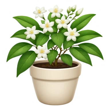 jasmine plant in pot sticker