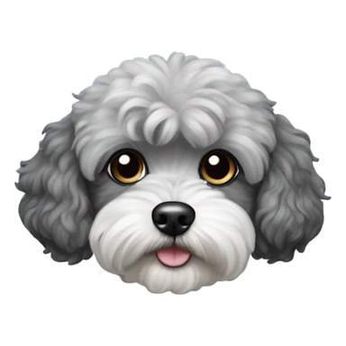 Black and grey Maltipoo dog  sticker