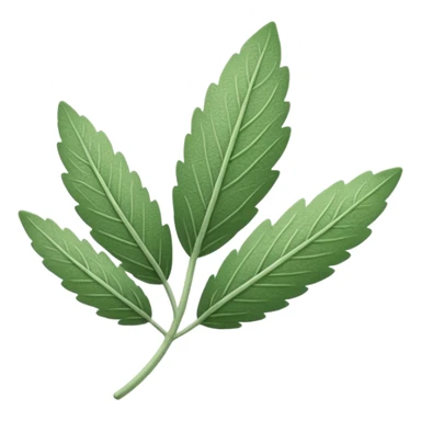 sage leaf sticker