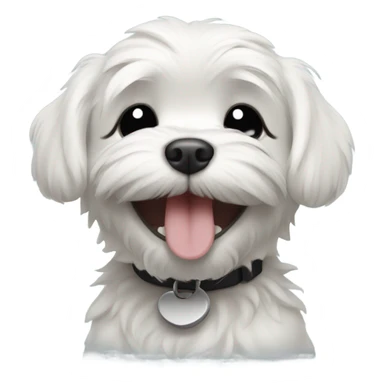 Black Maltese puppy completely black eyes closed laughing happy big smile  sticker