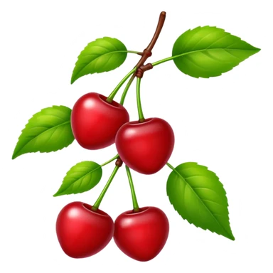 Sour cherries sticker