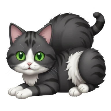 dark grey cat with green eyes, white toes/paws and white patch on her chest playfully rolling upside down sticker