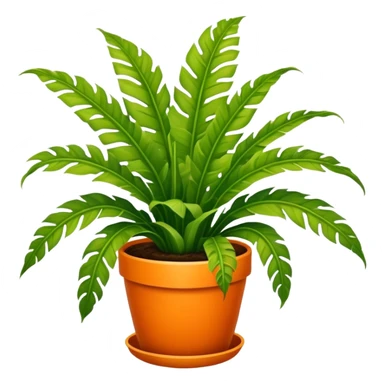 Bird's-nest fern plant in round orange pot sticker