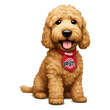 Tan golden doodle with Ohio state sticker