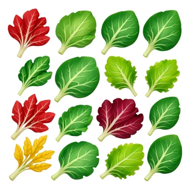 different salad leaves different colors  sticker