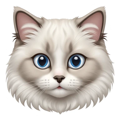 cinematic-adorable-big-eyed-fluffy-ragdoll-cat-portrait-emoji,-head-tilted-playfully-with-a-sweet-expression,-fluffy-white and grey-fur,-simplified-yet-irresistibly-cute-features-with-large,-expression, blue eyed ragdoll cat sticker