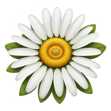 Daisy flower sticker